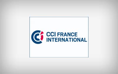 cci-france-international-vie CCI France International VIE
